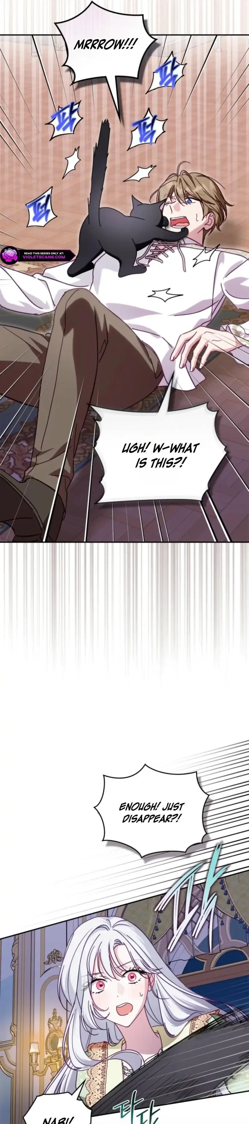 The Search for the Duchess's Husband Chapter 10 page 21