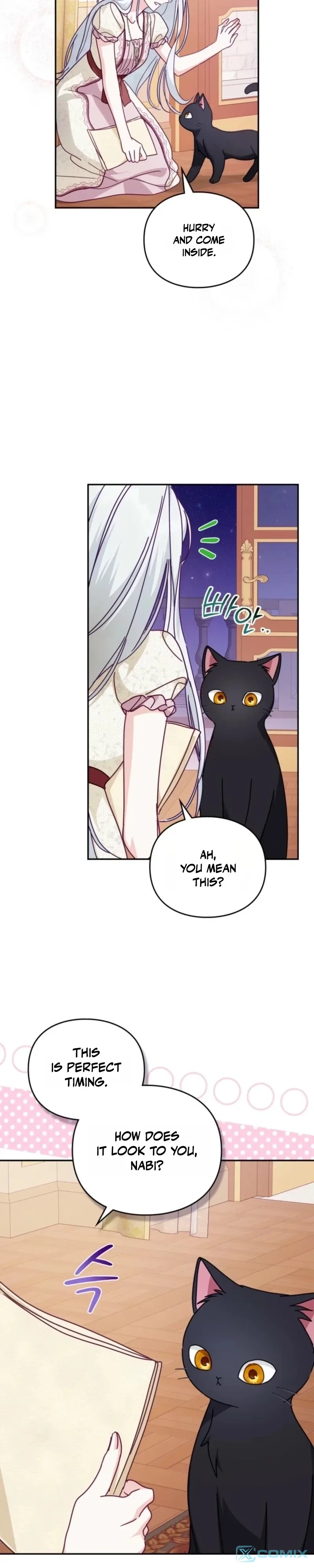 The Search for the Duchess's Husband Chapter 20 page 27