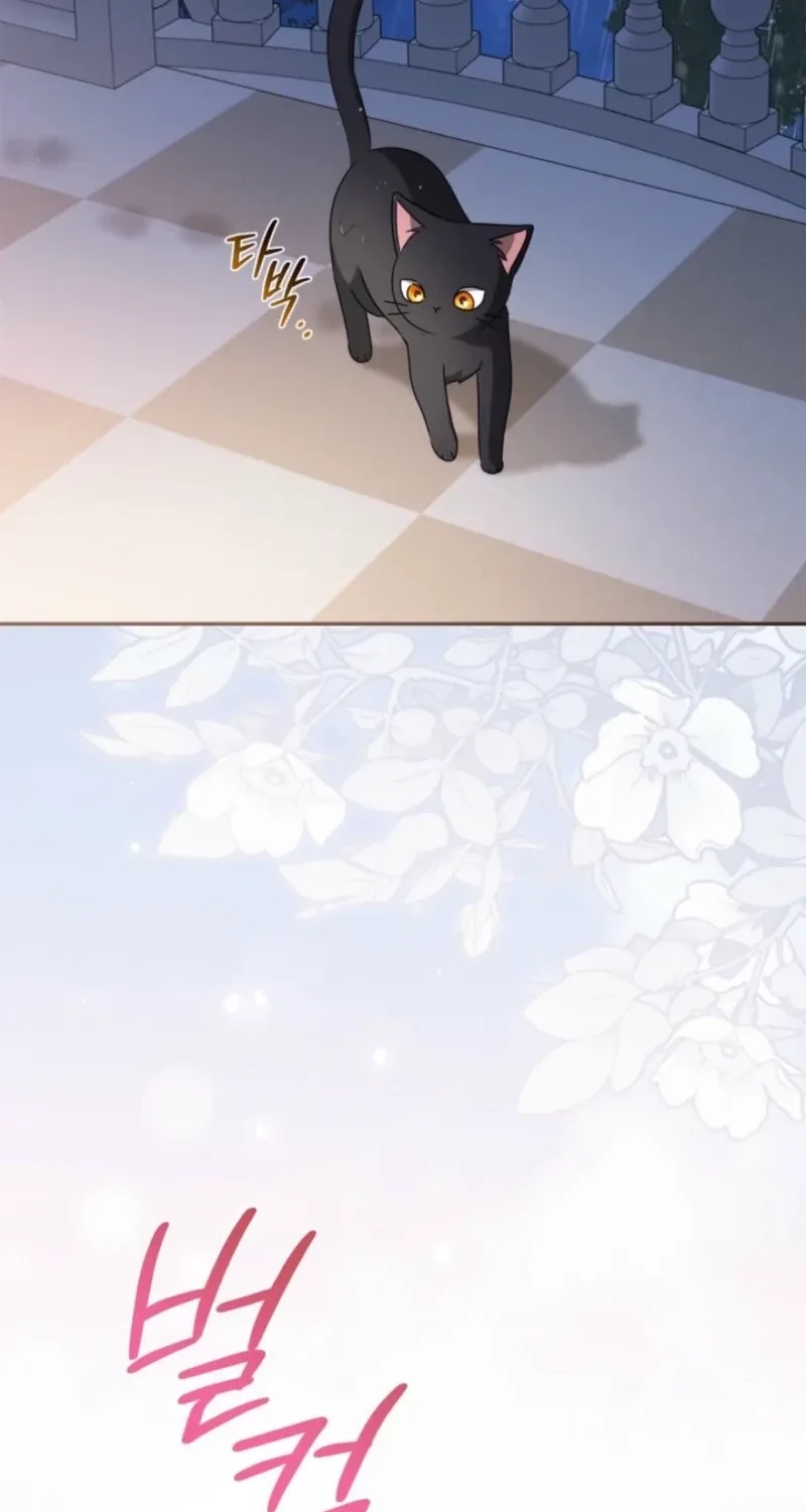 The Search for the Duchess's Husband Chapter 34 page 65