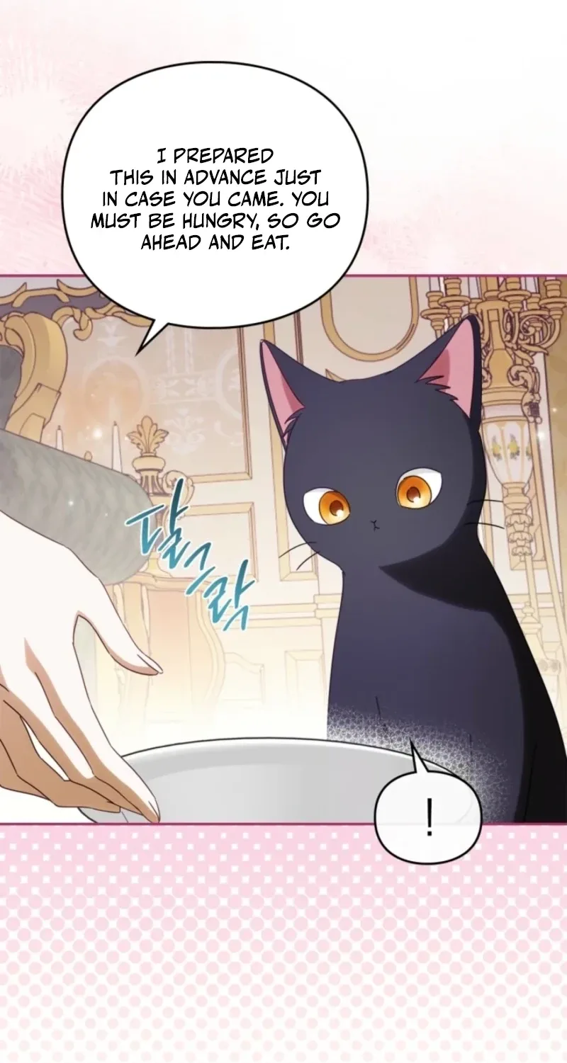 The Search for the Duchess's Husband Chapter 34 page 69