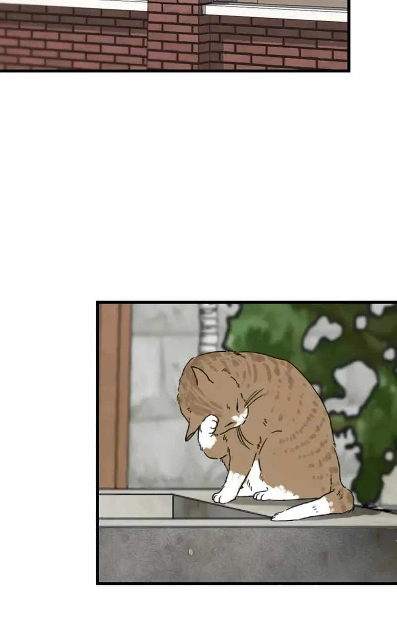 The Silent Transfer Student Chapter 70 page 46