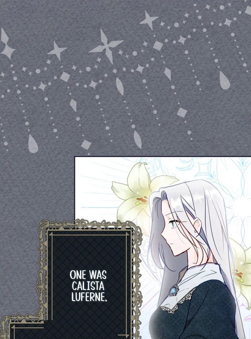 The Sister Who Once Hated Me Now Loves Me Chapter 2 page 14