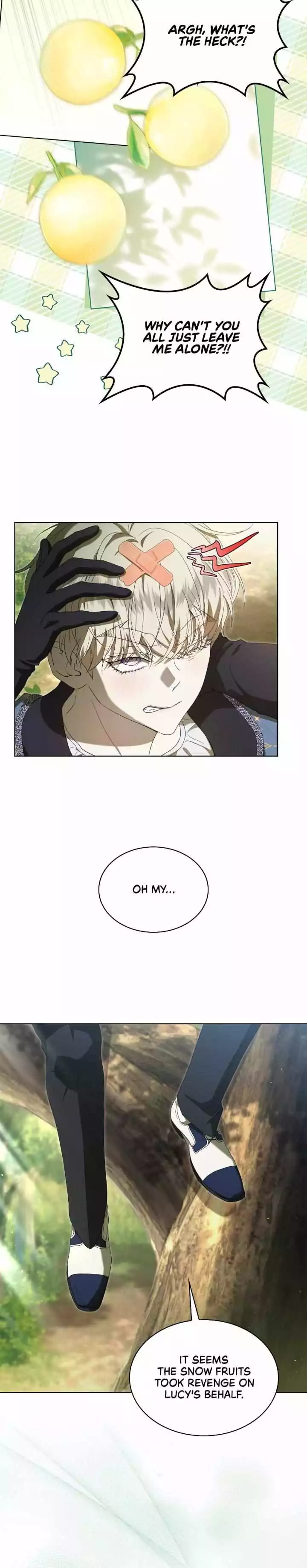 The Stone Thrown in the Lake Chapter 9 page 32