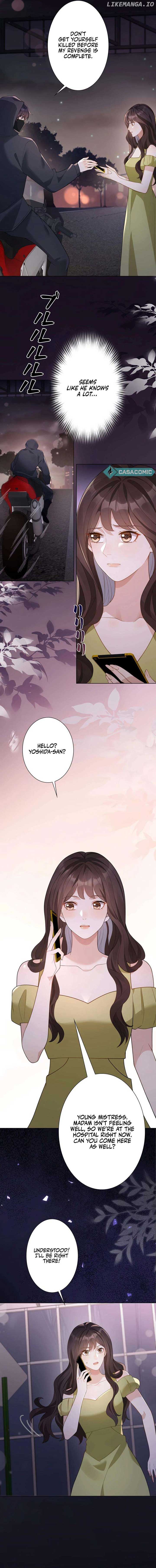The Substitute Bride And The Overly affectionate Husband Chapter 25 page 11