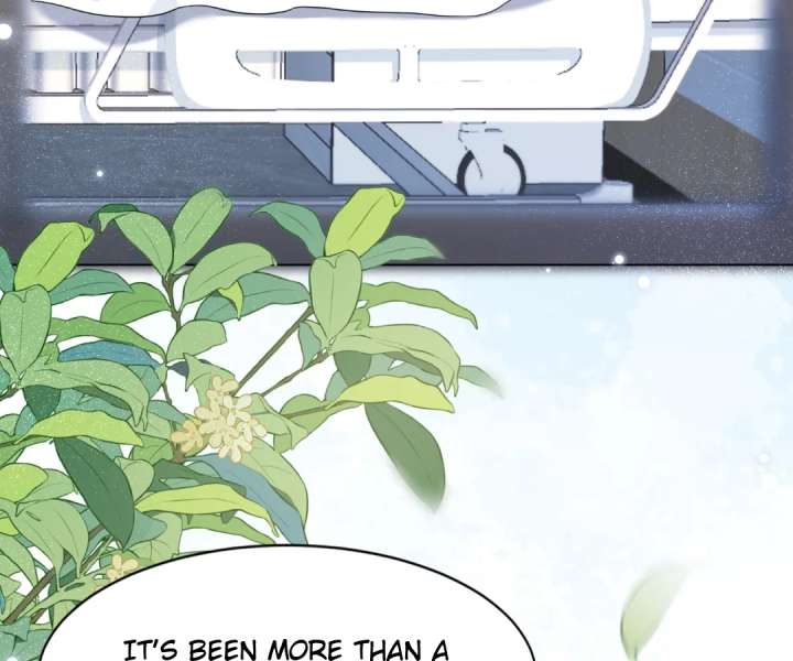 The Substitute Bride And The Overly affectionate Husband Chapter 38 page 89