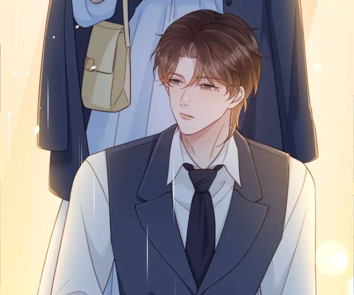 The Substitute Bride And The Overly affectionate Husband Chapter 39 page 160