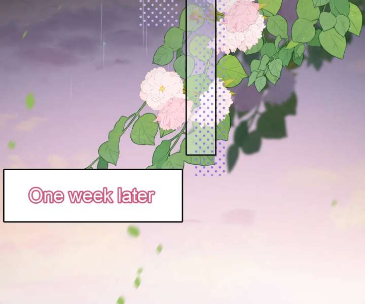 The Substitute Bride And The Overly affectionate Husband Chapter 40 page 30
