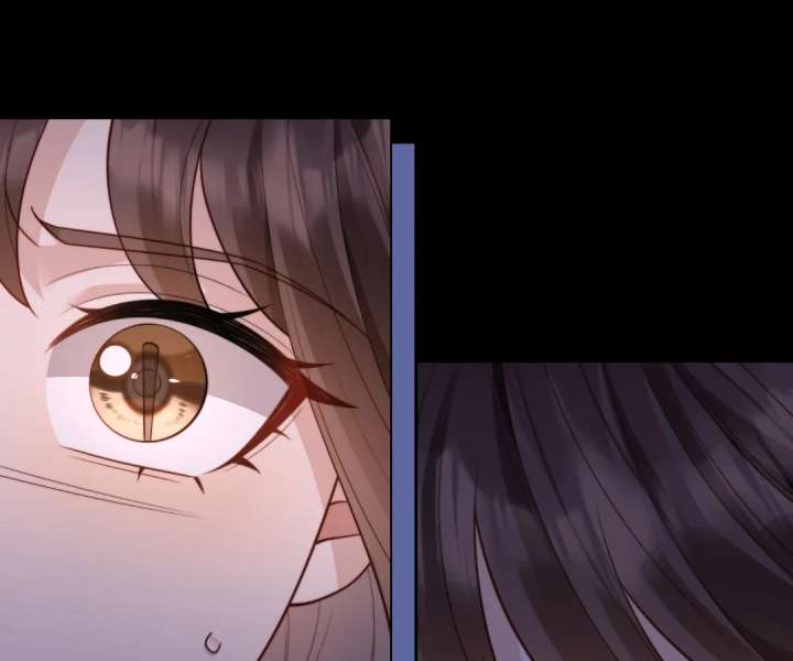 The Substitute Bride And The Overly affectionate Husband Chapter 41 page 65