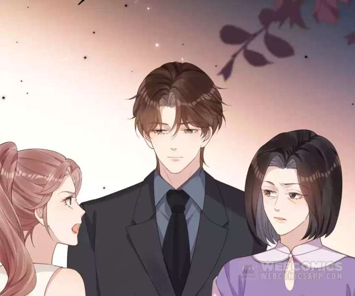 The Substitute Bride And The Overly affectionate Husband Chapter 44 page 156