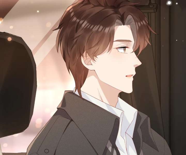The Substitute Bride And The Overly affectionate Husband Chapter 46 page 29