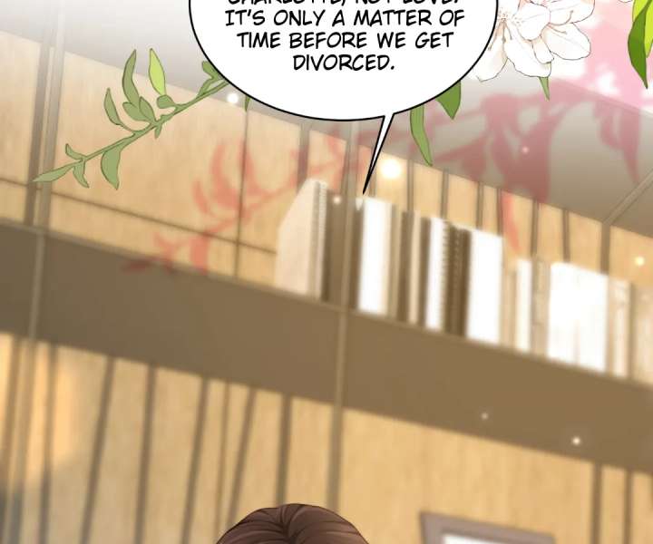 The Substitute Bride And The Overly affectionate Husband Chapter 47 page 5