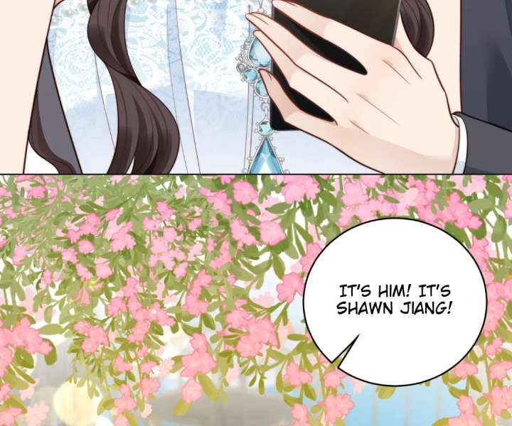 The Substitute Bride And The Overly affectionate Husband Chapter 47 page 74