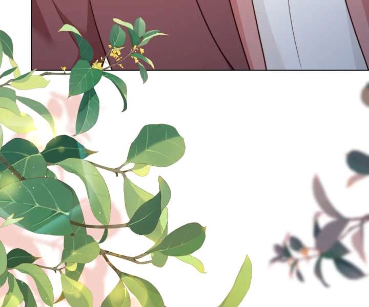 The Substitute Bride And The Overly affectionate Husband Chapter 48 page 149