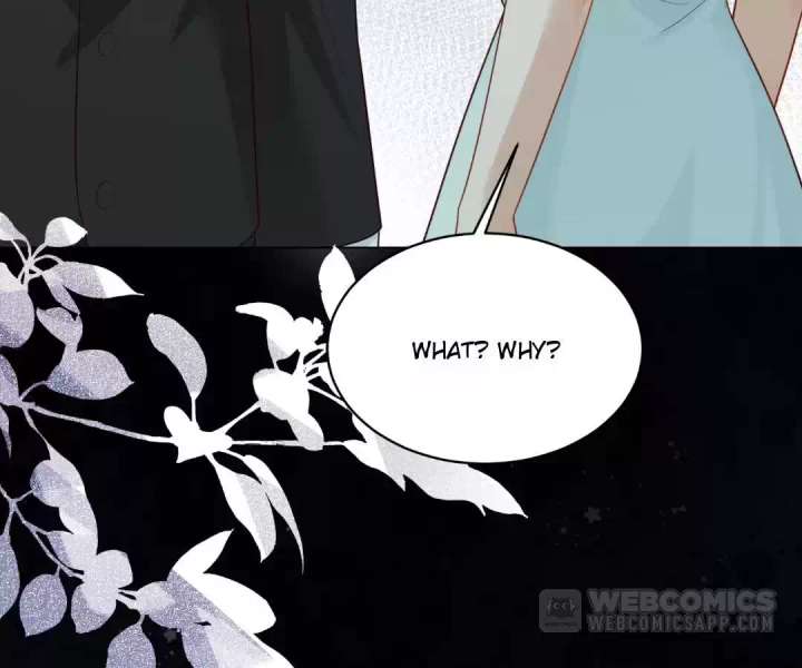 The Substitute Bride And The Overly affectionate Husband Chapter 57 page 156