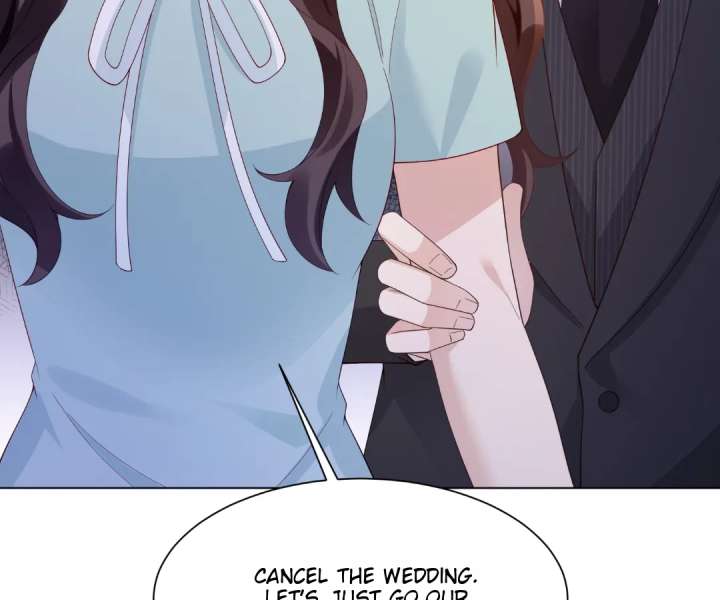 The Substitute Bride And The Overly affectionate Husband Chapter 58 page 27