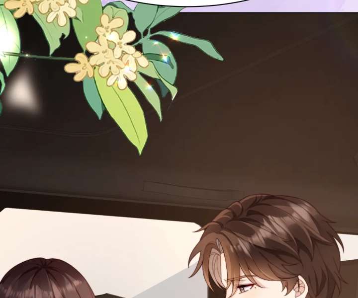 The Substitute Bride And The Overly affectionate Husband Chapter 61 page 155