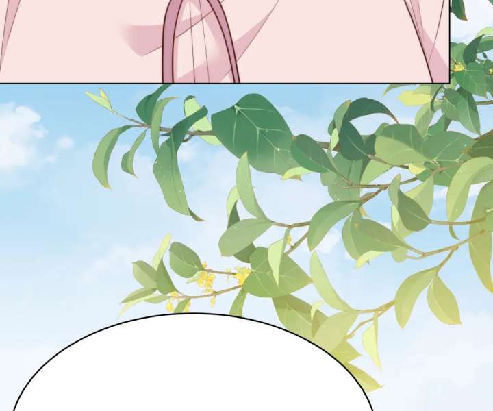 The Substitute Bride And The Overly affectionate Husband Chapter 62 page 62