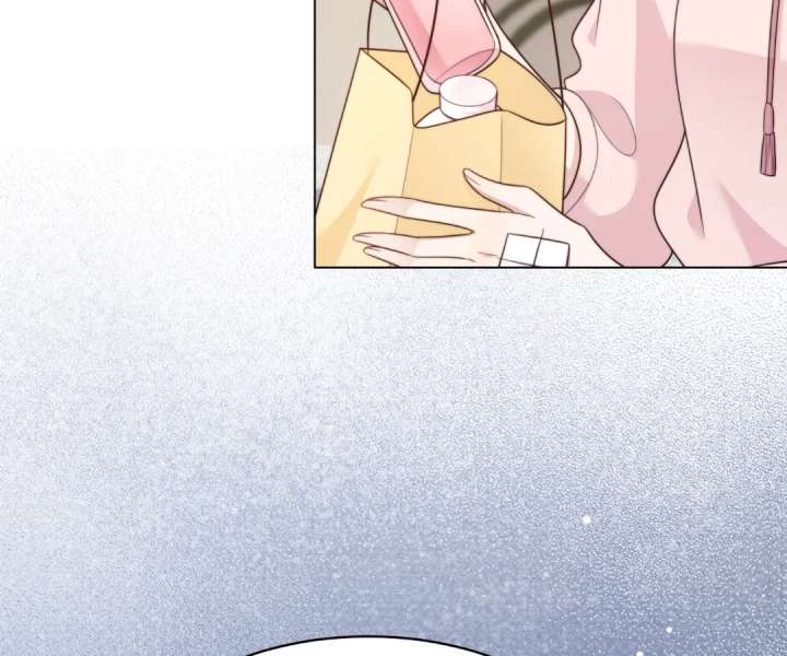 The Substitute Bride And The Overly affectionate Husband Chapter 62 page 147