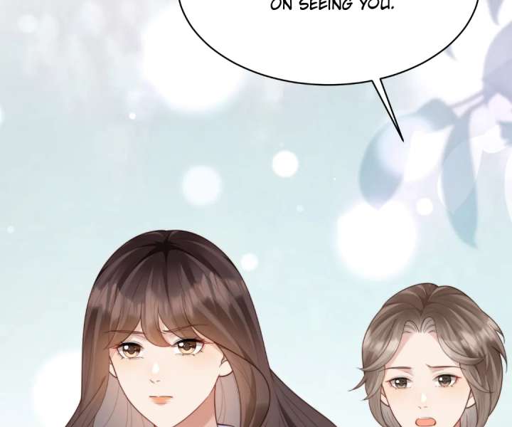 The Substitute Bride And The Overly affectionate Husband Chapter 65 page 27