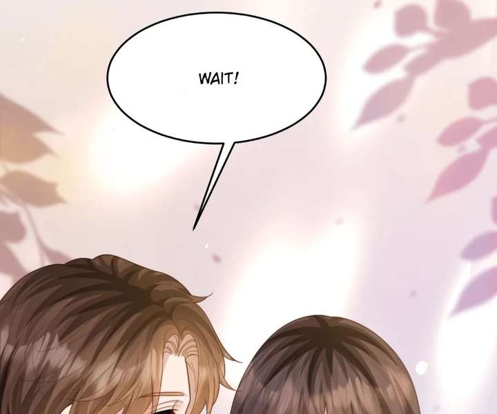 The Substitute Bride And The Overly affectionate Husband Chapter 74 page 36
