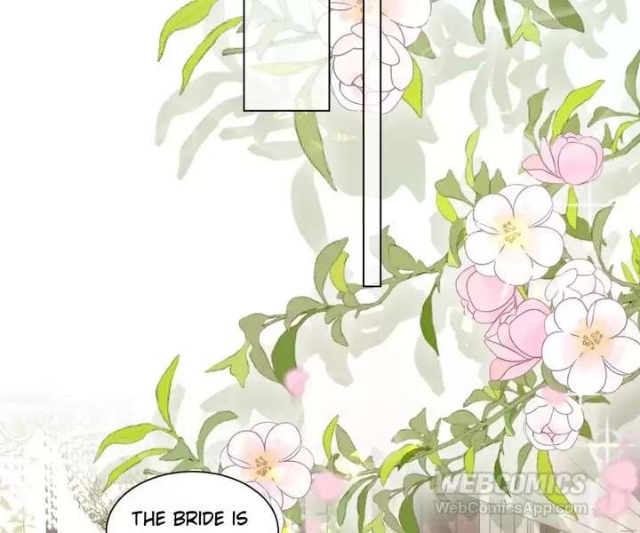 The Substitute Bride And The Overly affectionate Husband Chapter 84 page 19