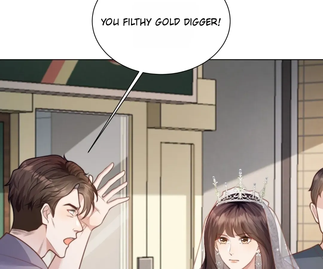 The Substitute Bride And The Overly affectionate Husband Chapter 85 page 15