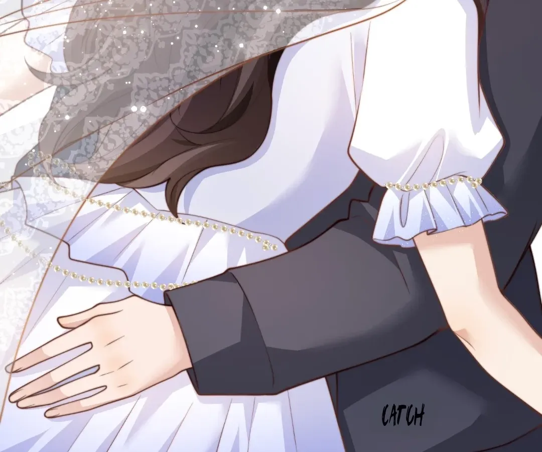 The Substitute Bride And The Overly affectionate Husband Chapter 85 page 24