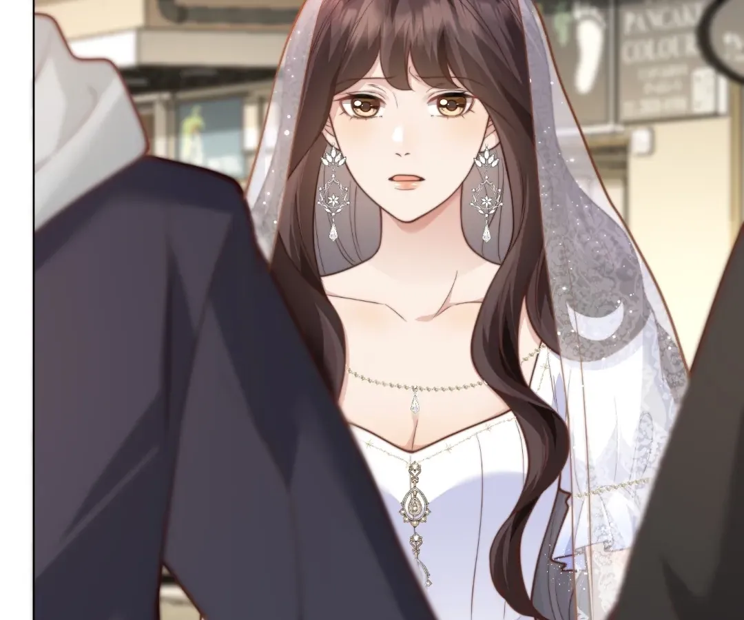 The Substitute Bride And The Overly affectionate Husband Chapter 85 page 29