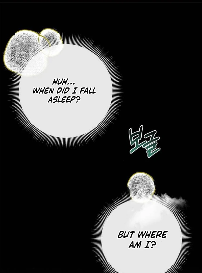 The Swindler Couple of Ardel Chapter 11 page 3