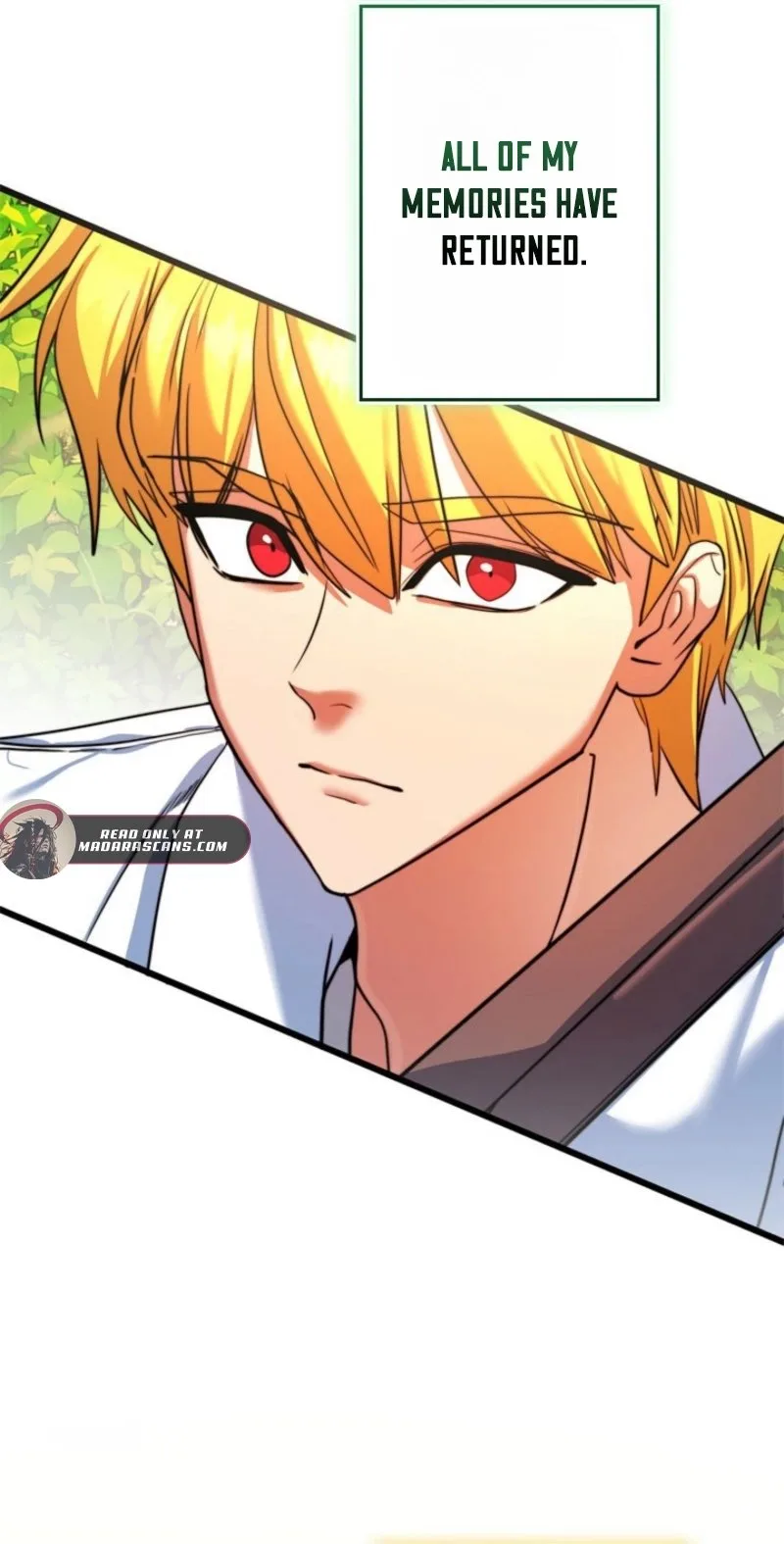 The Sword Emperor Who Surpasses His Previous Life Chapter 1 page 117