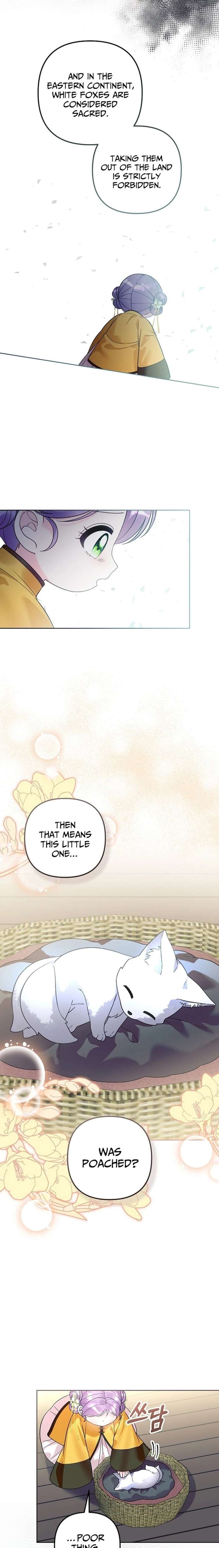The Terminally Ill Baby Healer Doesn’t Hide Her Genius Chapter 41 page 2