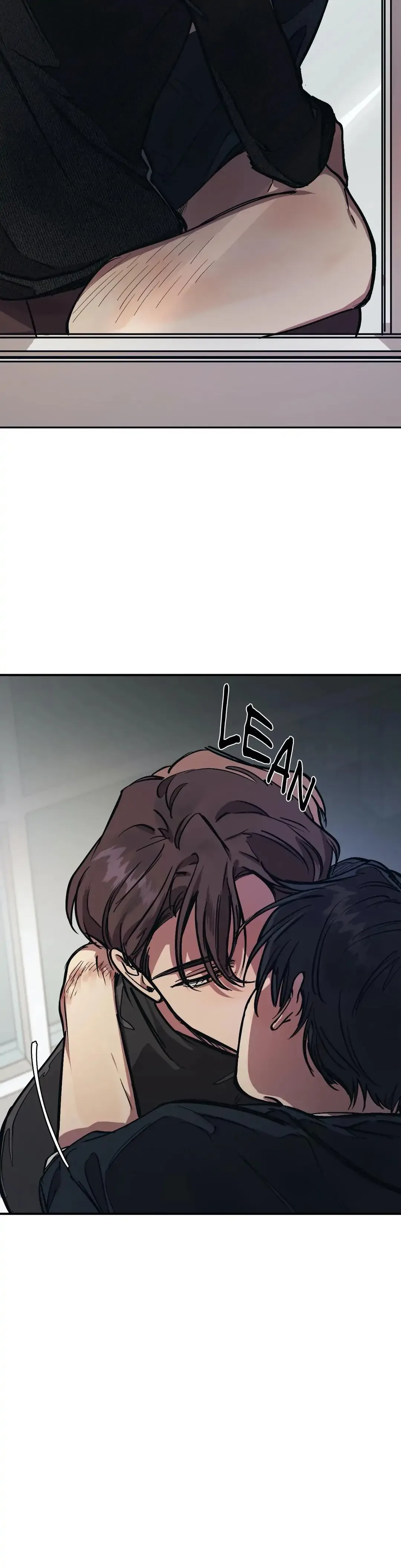 The third perspective Chapter 17 page 12