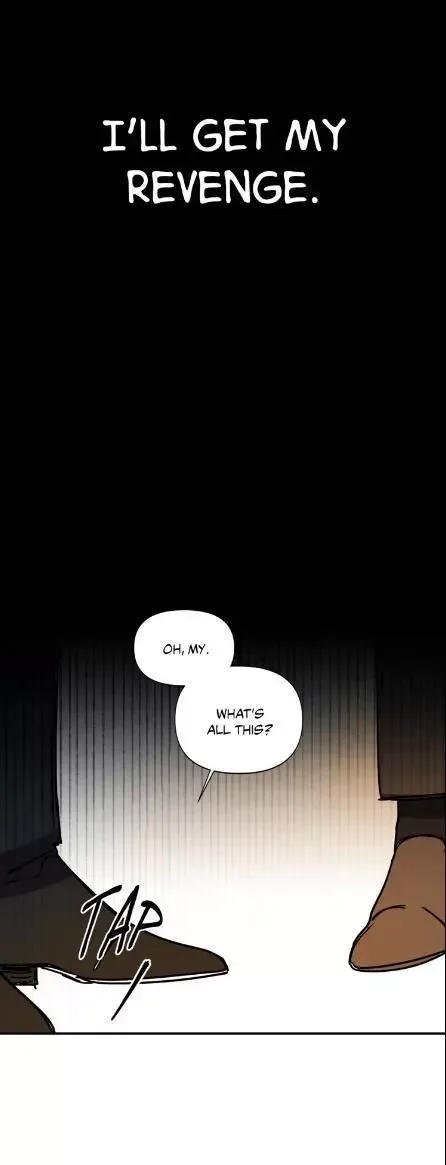 The third perspective Chapter 23 page 28