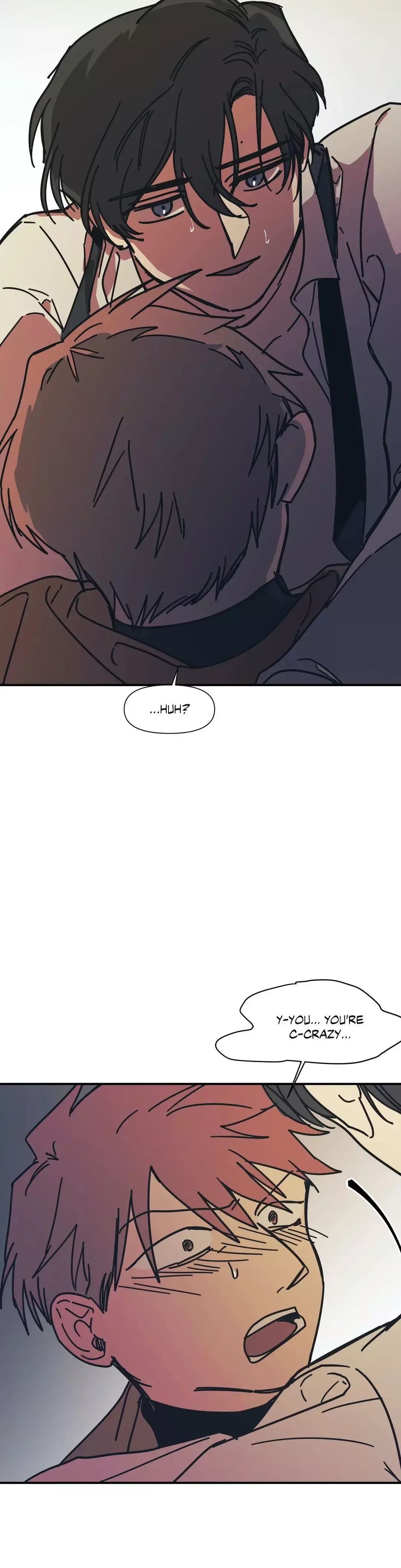 The third perspective Chapter 24 page 31