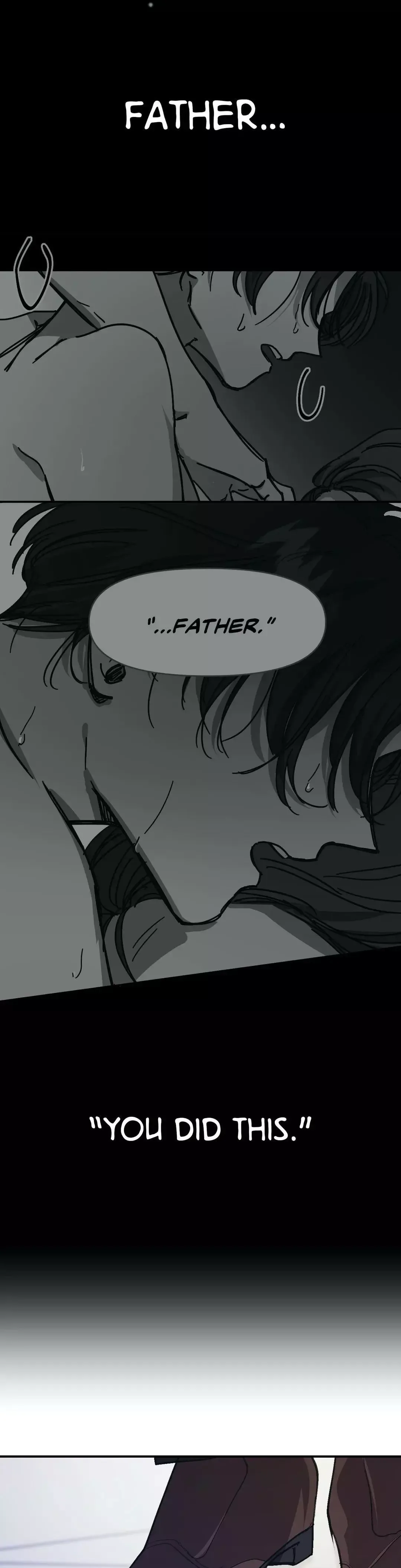 The third perspective Chapter 27 page 14