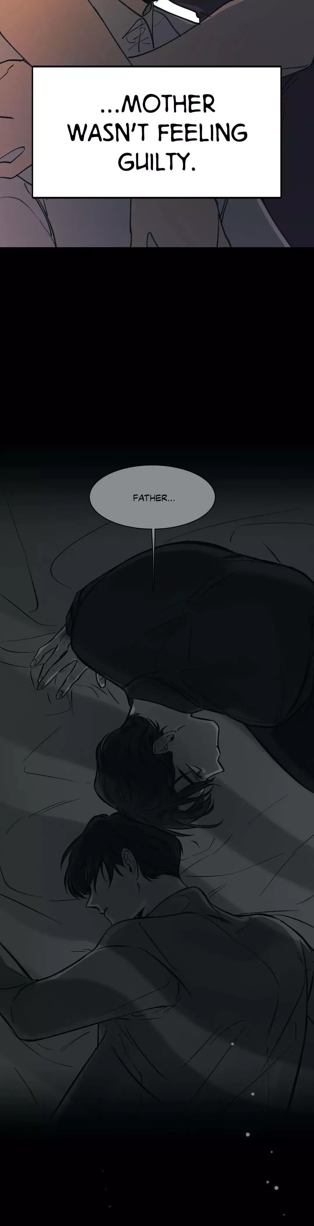 The third perspective Chapter 27 page 13