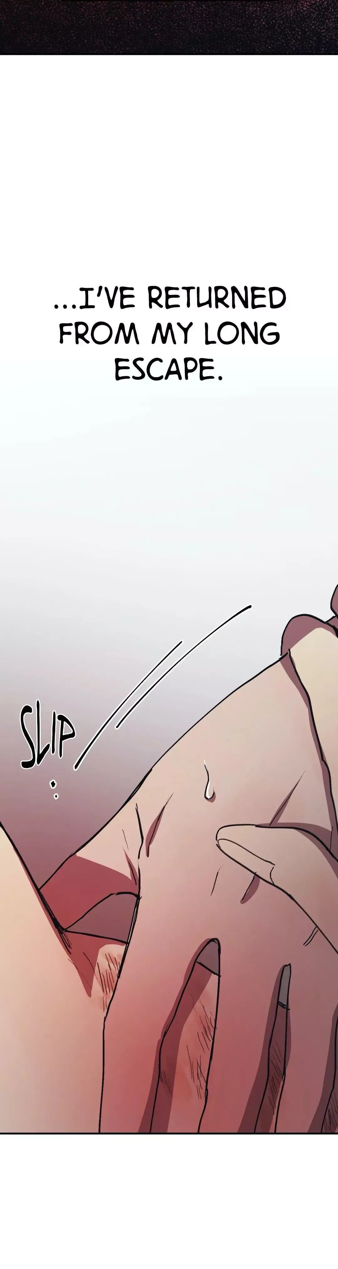 The third perspective Chapter 27 page 9