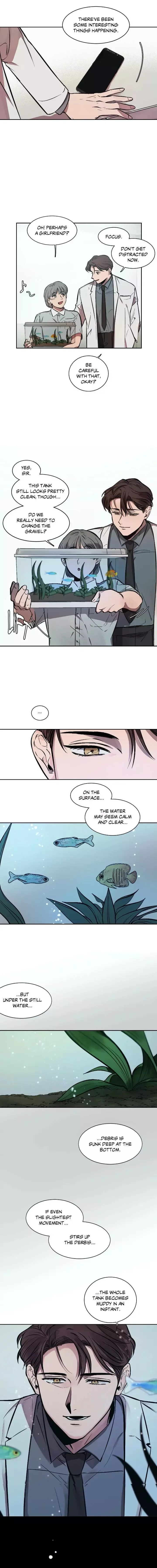 The third perspective Chapter 5 page 5