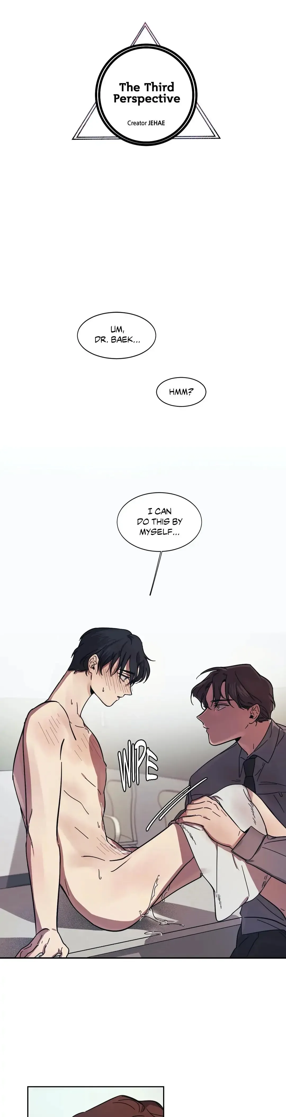 The third perspective Chapter 8 page 4