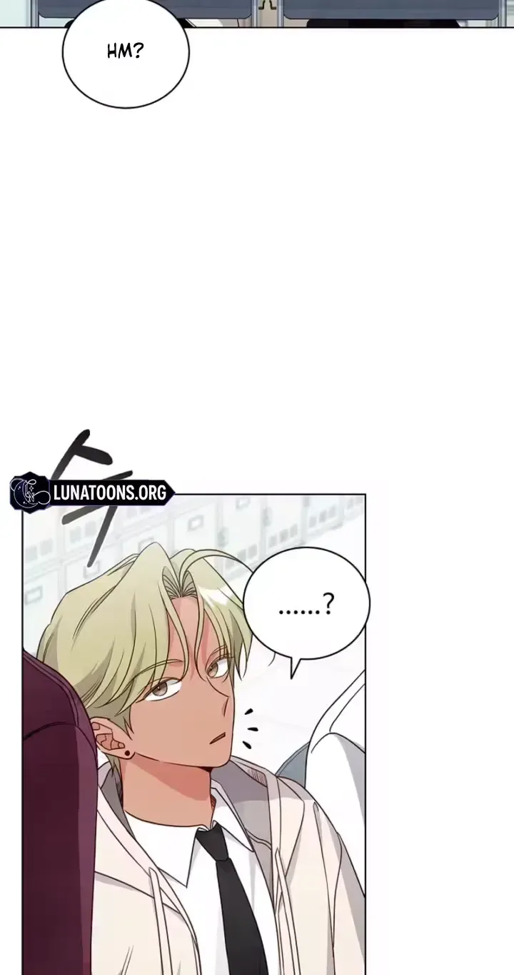 The Timing of Falling in Love Chapter 15 page 12