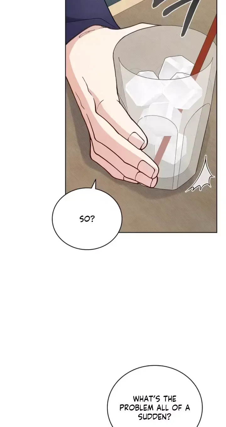 The Timing of Falling in Love Chapter 17 page 25