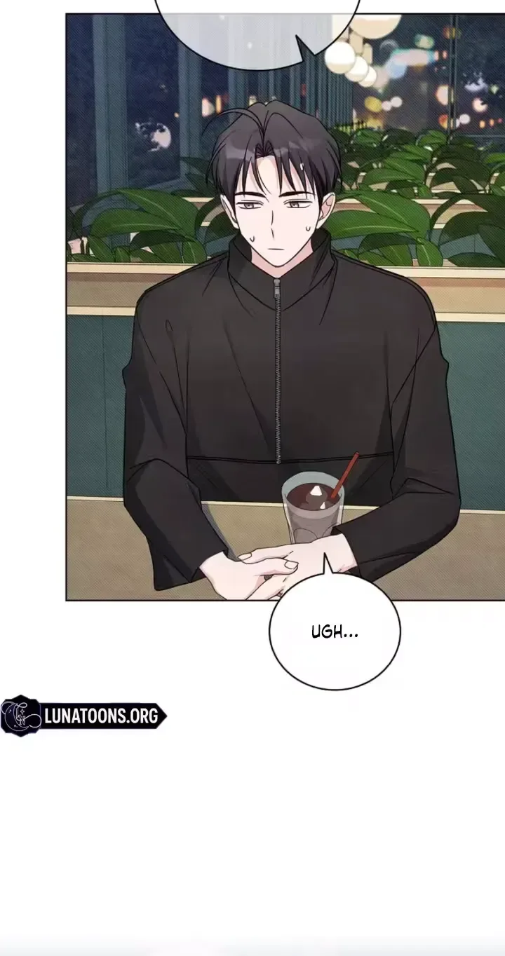 The Timing of Falling in Love Chapter 17 page 47