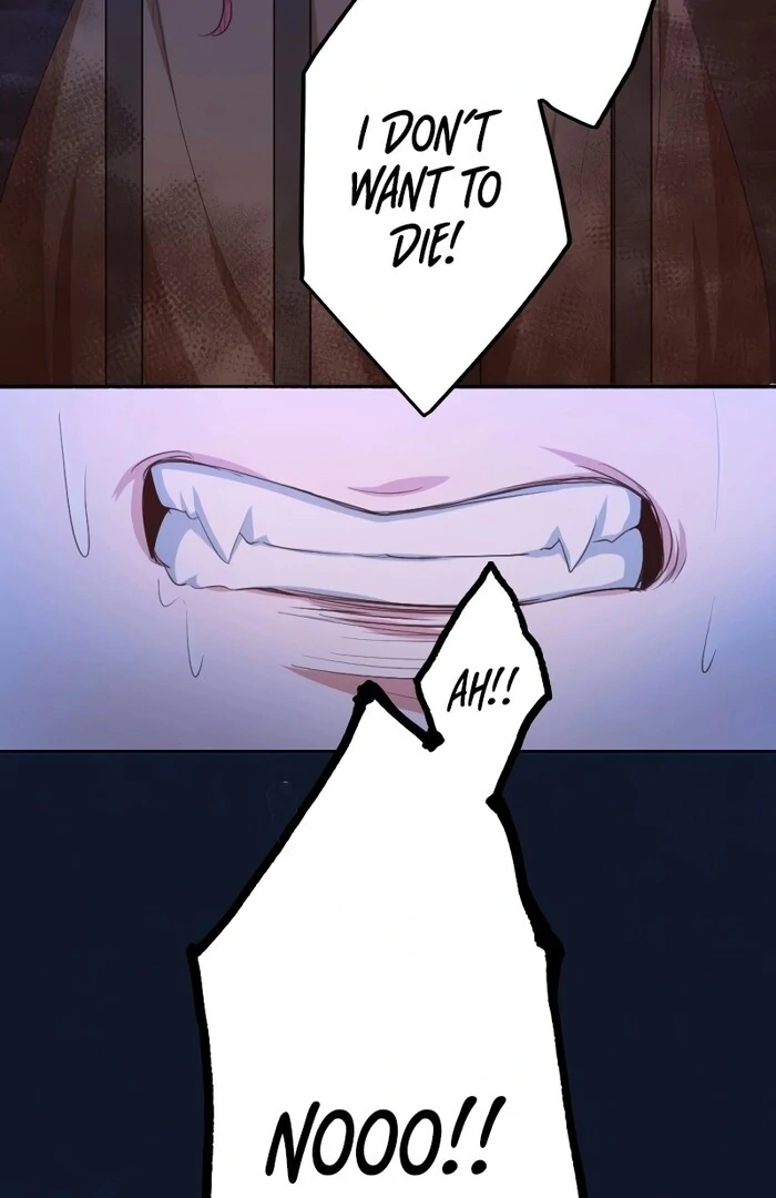 The Unhappy Poison Witch’s Happy Marriage Chapter 13 page 105