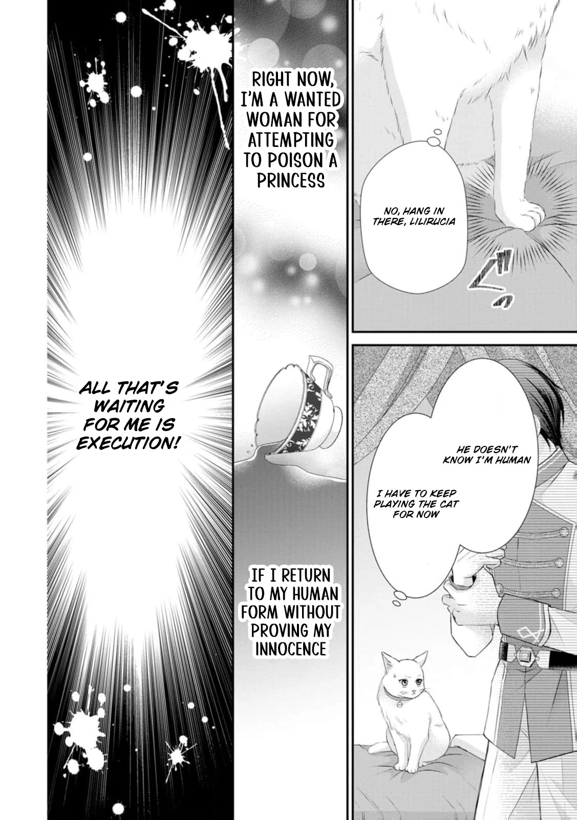 The Villainess Cursed into a Cat Is Taken In by the Crown Prince Chapter 1 page 9