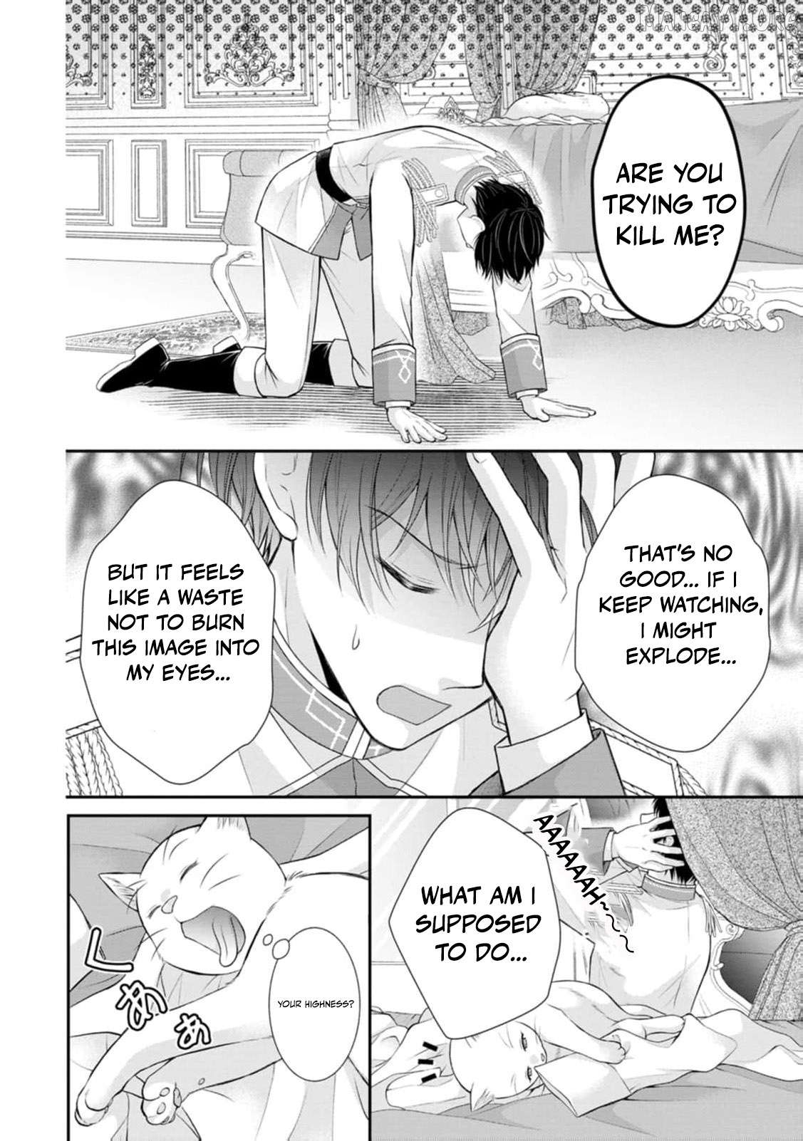 The Villainess Cursed into a Cat Is Taken In by the Crown Prince Chapter 13 page 15