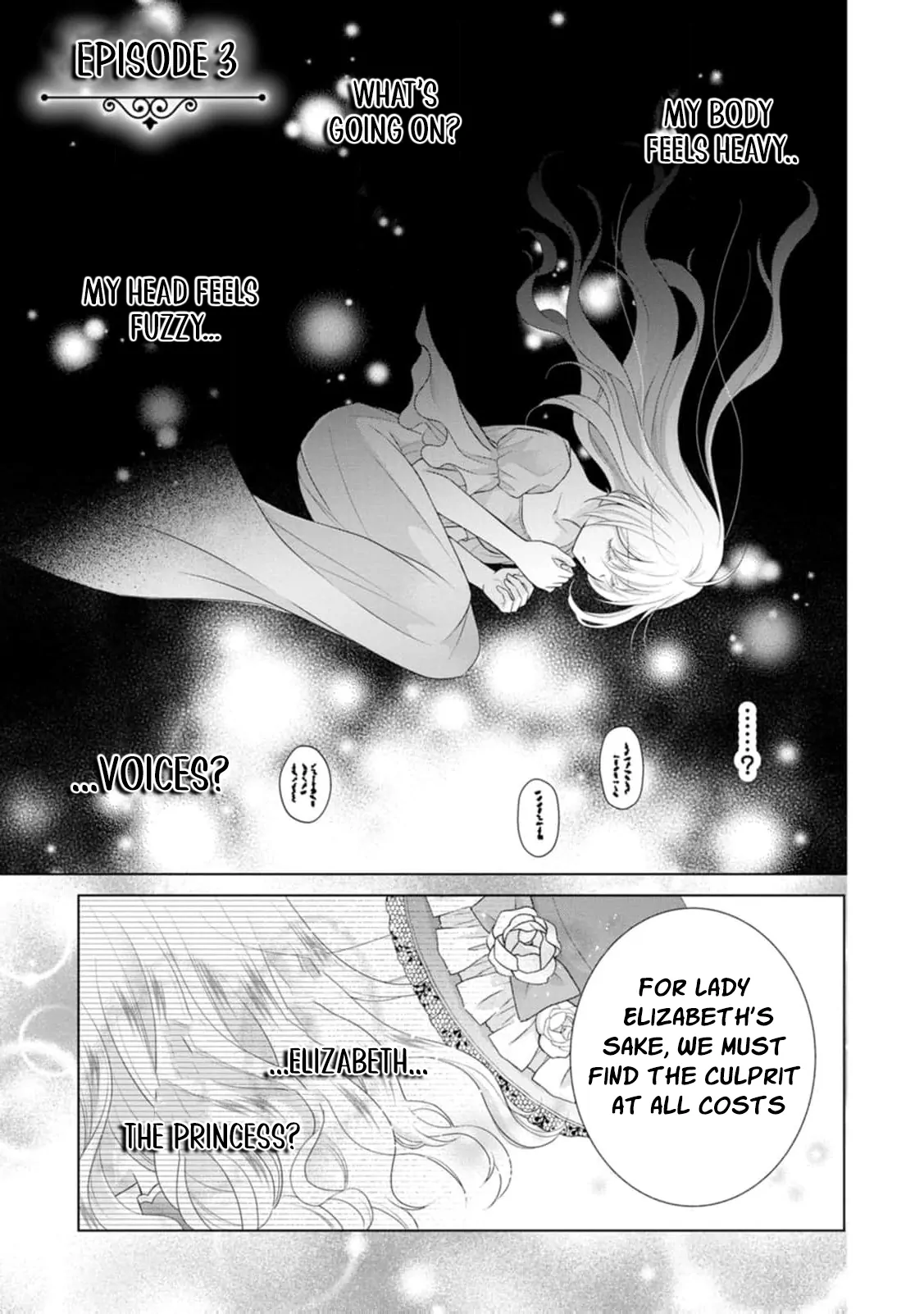 The Villainess Cursed into a Cat Is Taken In by the Crown Prince Chapter 3 page 5