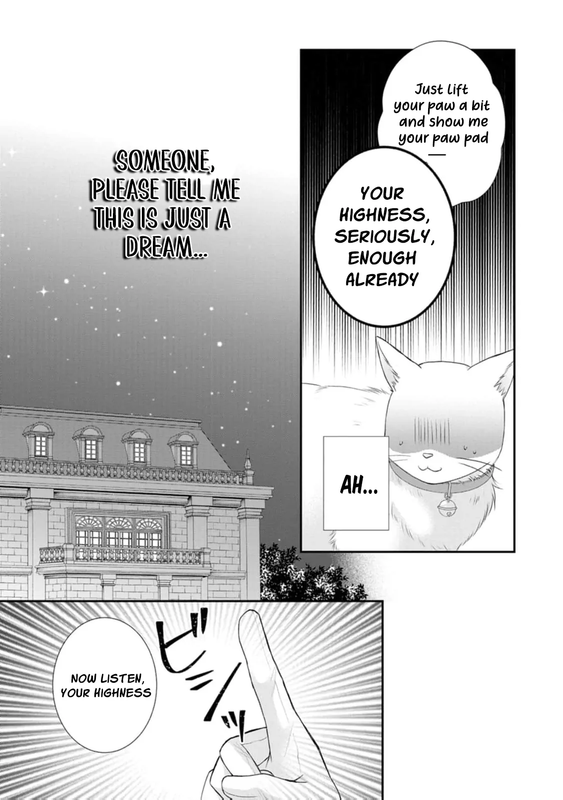 The Villainess Cursed into a Cat Is Taken In by the Crown Prince Chapter 3 page 17