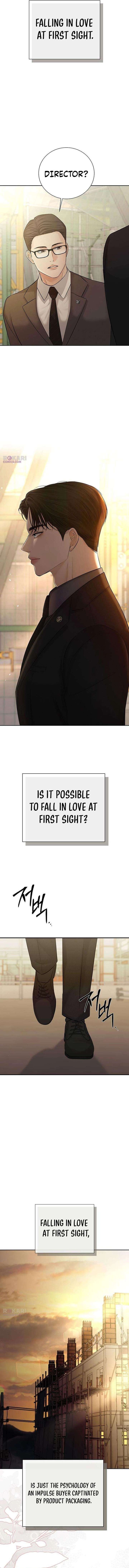 The Villain’s Pure Love Chapter 10 page 10