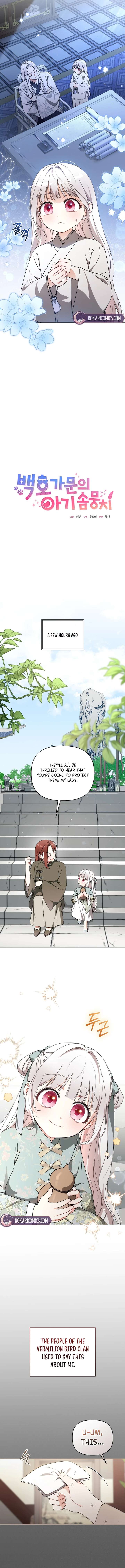 The White Tiger Clan’s Baby Cotton Ball Chapter 11 page 5