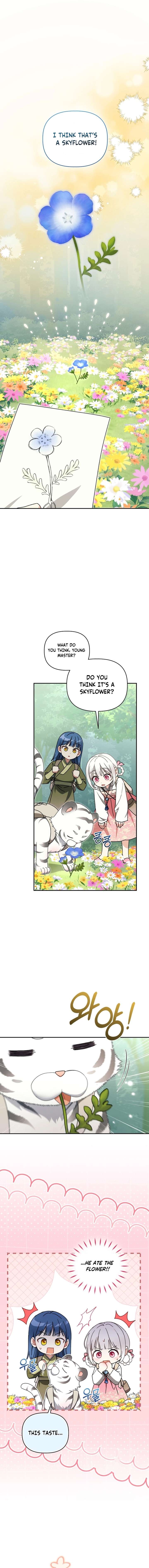 The White Tiger Clan’s Baby Cotton Ball Chapter 16 page 11